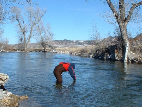 MSU to offer free online course on water quality basics