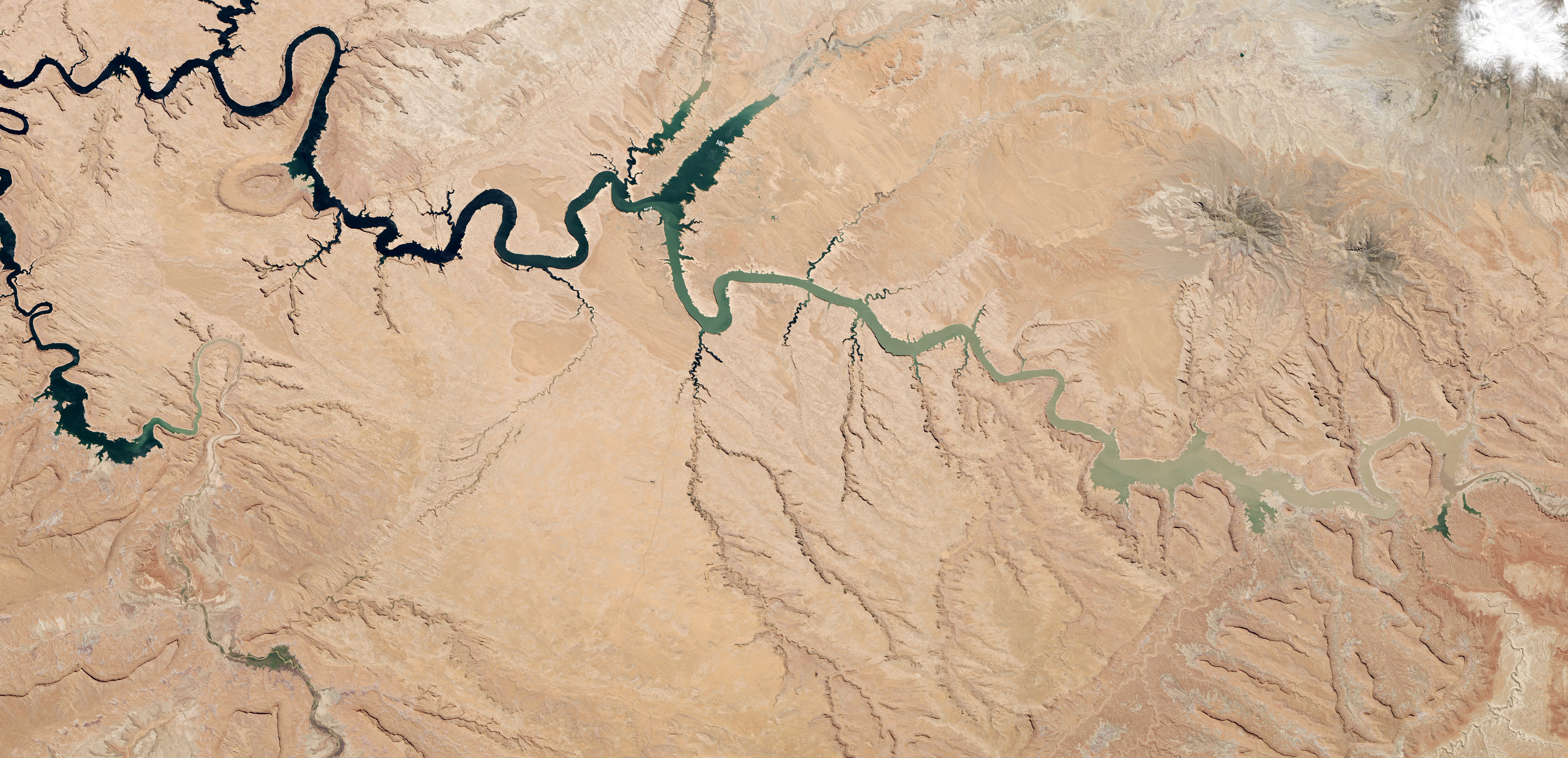 NASA-Led Project Tracking Changes to Water, Ecosystems, Land SurfaceMerging data from multiple satellites, OPERA can help government agencies, d...