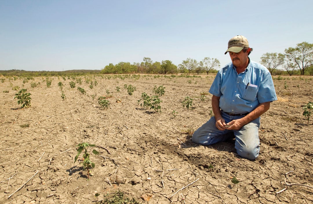 Texas Drought: How Water Shortages Hurt Daily Life and Public Services - Climate Crisis 247Douglas McIntyre discusses how a severe drought in Te...