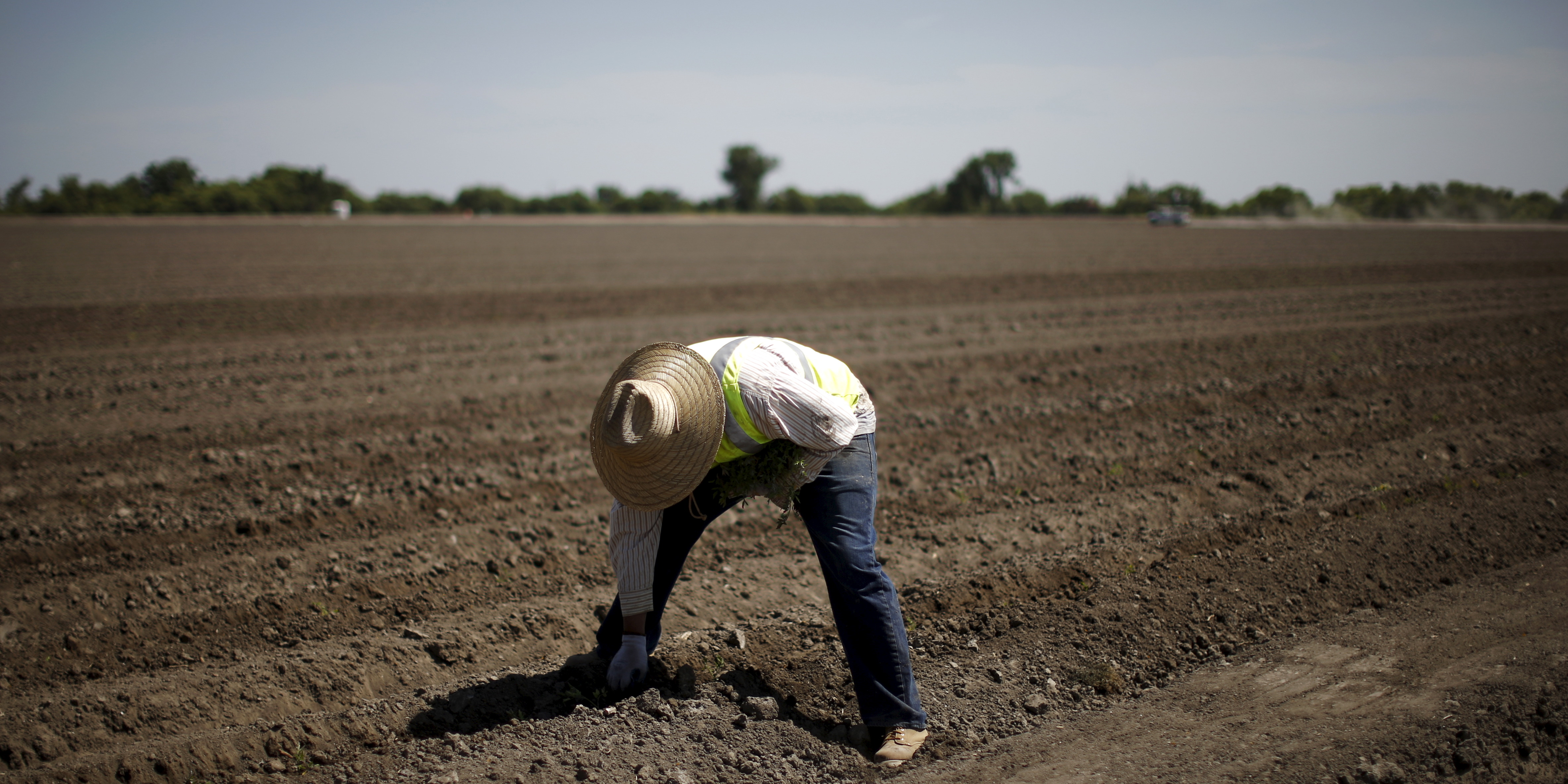 California Farmers Are Using Drones To Fight The Drought