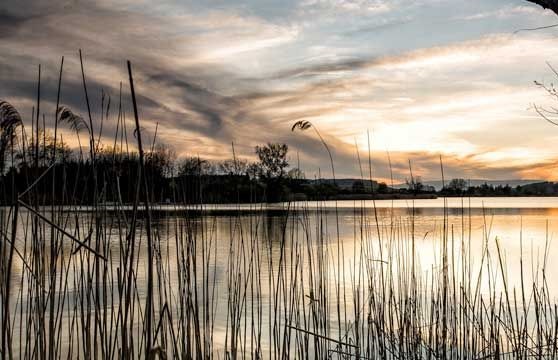 Redesigning for Hydraulic Society: What Would a New Houston Look Like?