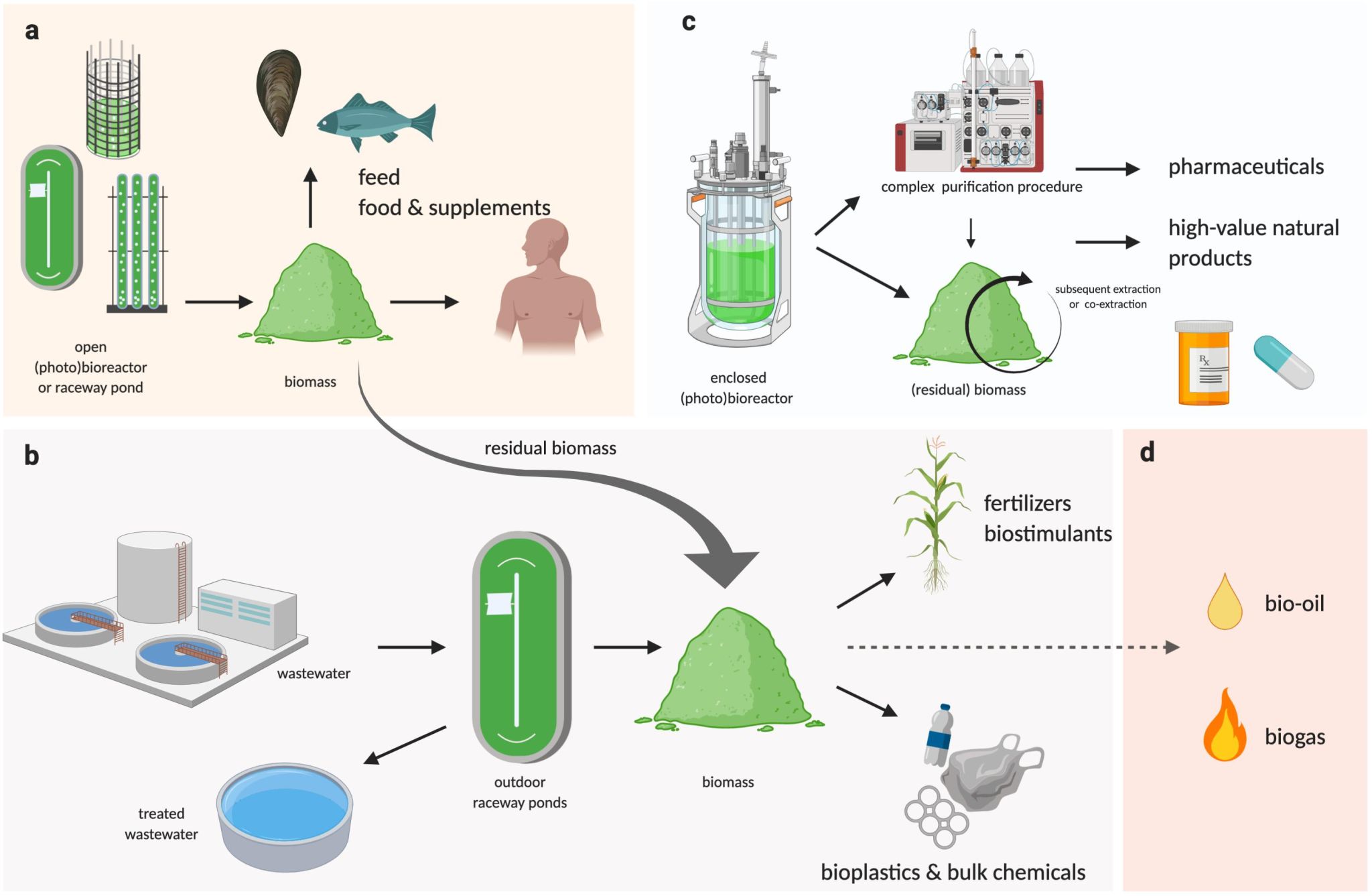 🌍💼 How effective are algae cultures and biocatalysis in treating wastewater containing antibiotics? 📉📉🌍Biodegradation by Algal Cu...