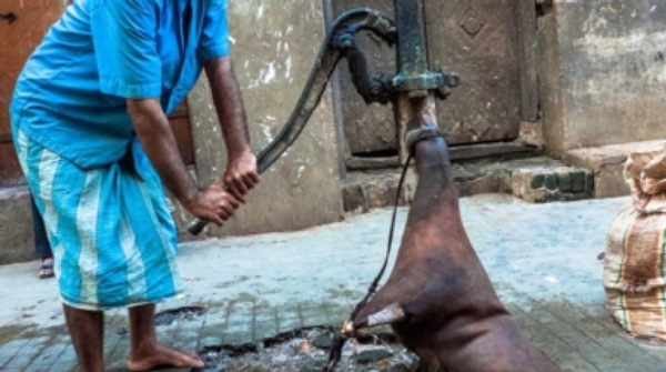 Arsenic Contaminates India's Drinking Water [Video]