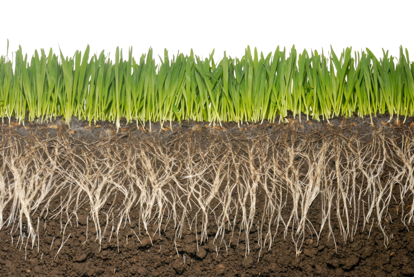 New Fertilizer with Lower Water Demand