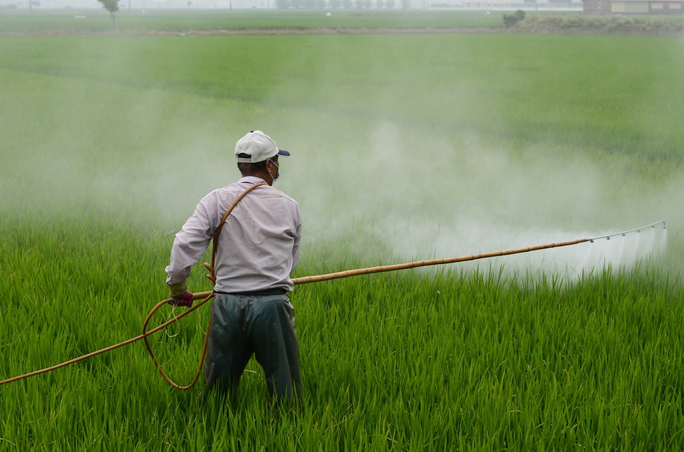 Health Canada Doubles Down on Glyphosate Cancer Fight