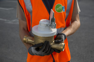 800 Leaks Detected in Bayonne