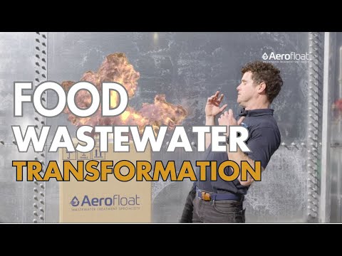 How did we turn the wastewater from this food manufacturer into effluent ready for sewer?