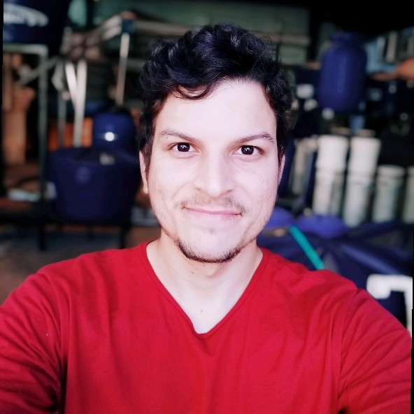 Ulisses Costa Terin