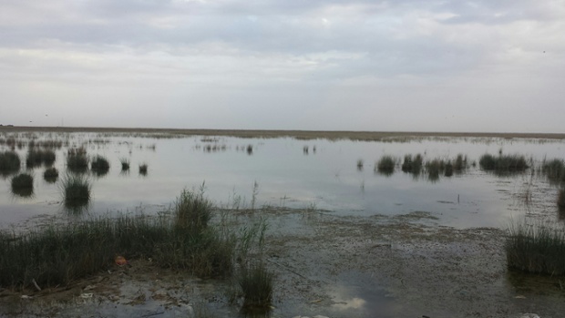 Iran's Khuzestan Went from Wetland to Wasteland