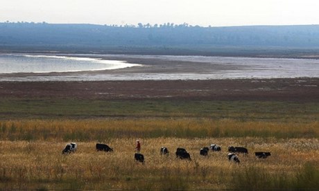 China's largest desert freshwater lake shrinking faster than ever