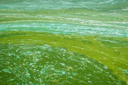 Warmer Winters Are Fuelling A Growth In Algal Blooms Across The Great Lakes