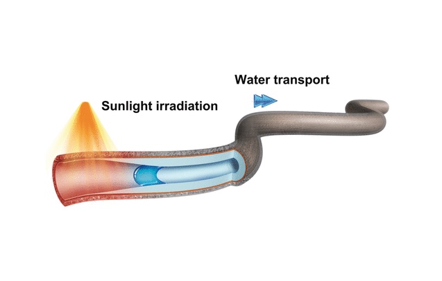 Microtube with Built-In Pump: Rapid Controlled Transport of Water Droplets by Sunlight-powered Pump