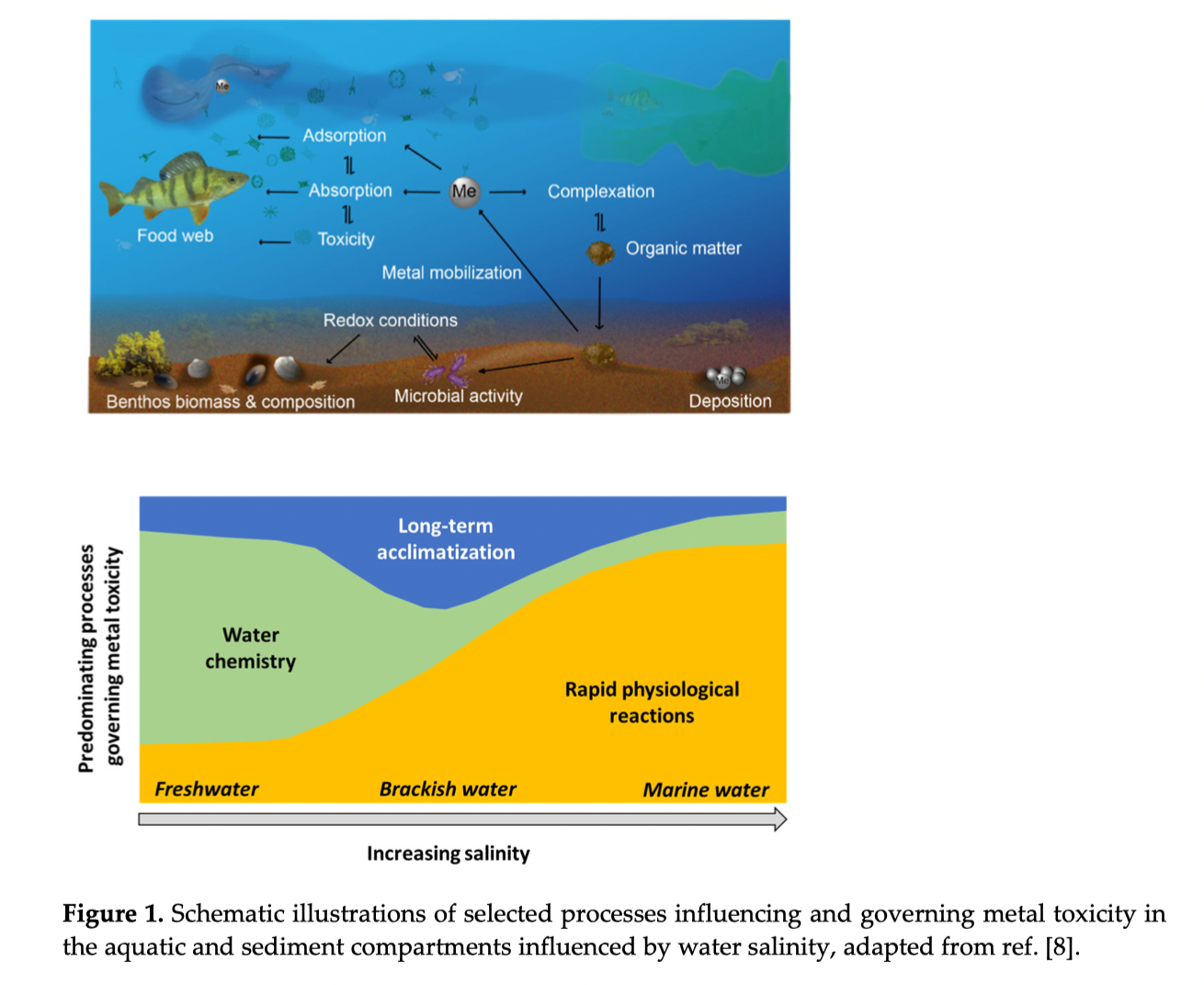 Applying Generic Water Quality Criteria to Cu and Zn in a Dynamic Aquatic Environment