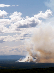 Burning Wetlands Unleash Sequestered Mercury In Wake Of Climate Change