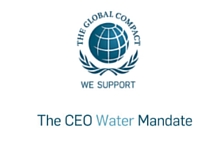 Companies' Water Stewardship Initiatives Guide