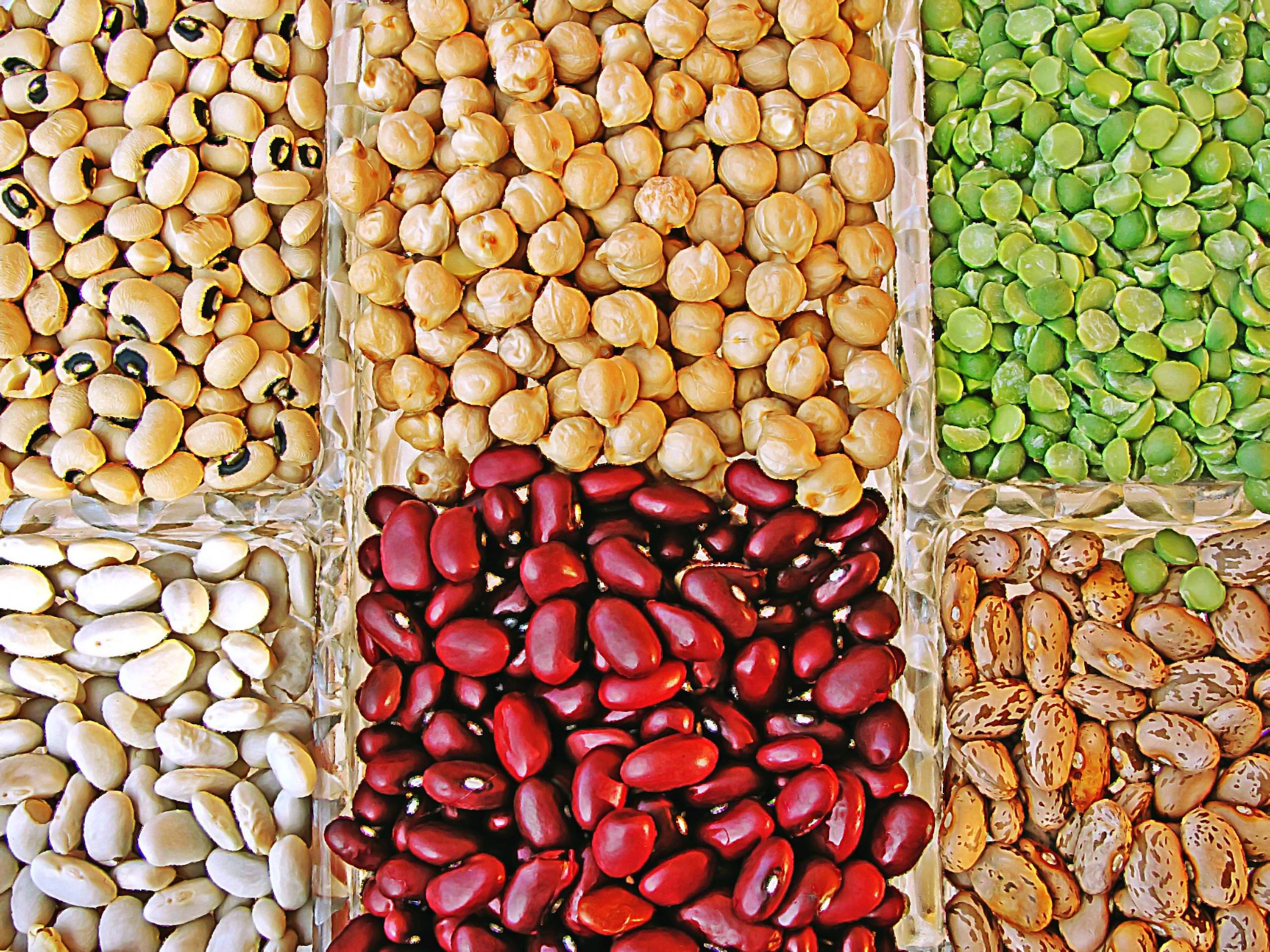 Legumes for a Sustainable Farming Future