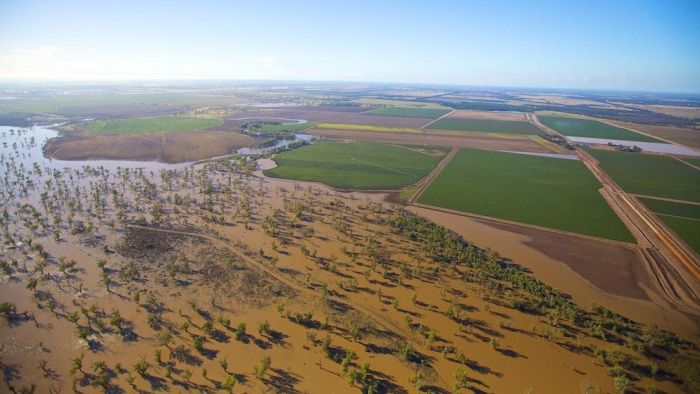 Flood plain harvestingWater diverted to on-farm storages via flood plain harvesting in northern NSW skyrockets since 1994, experts says.