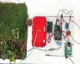 Intelligent ​Watering System ​for Urban ​Gardeners