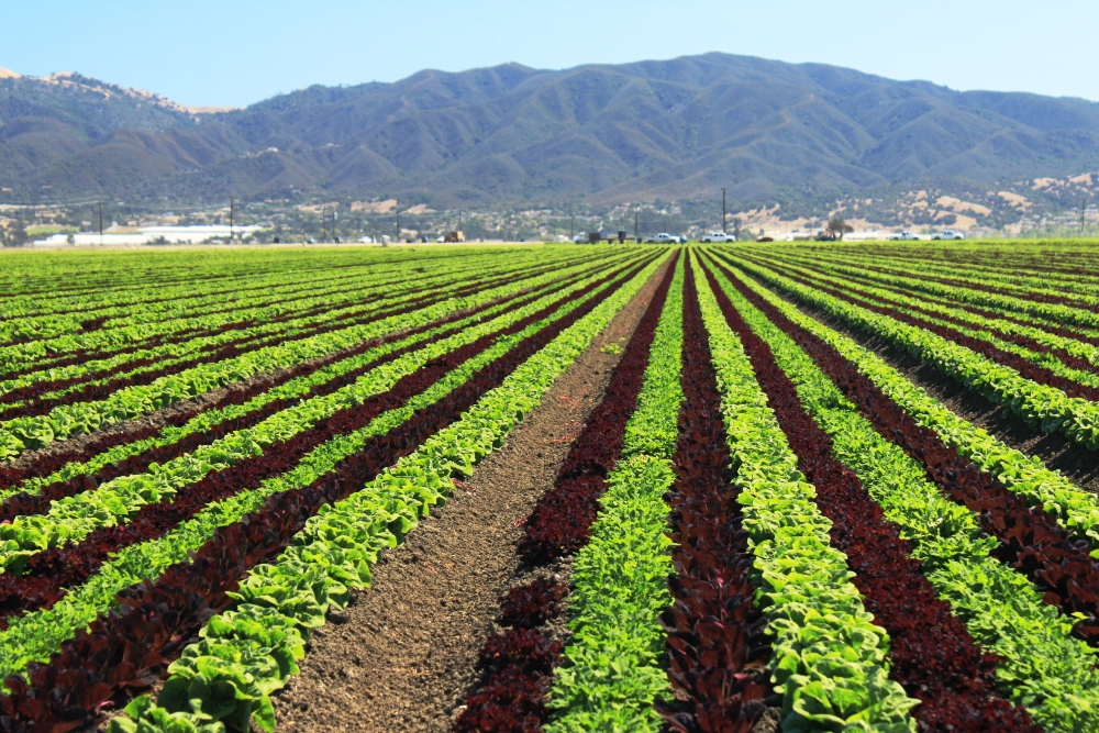 Labels Demanded for Frack-Irrigated Crops