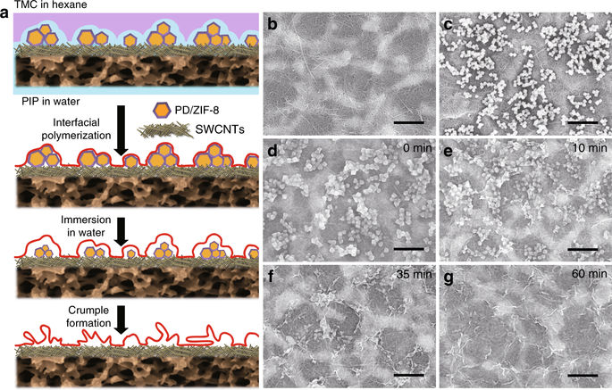 Nanoparticle-templated Nanofiltration Membranes for Ultrahigh Performance Desalination