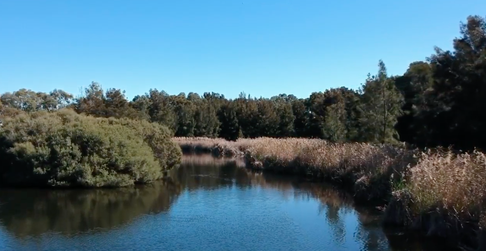 Adelaide Wetlands Virtual Field Trip