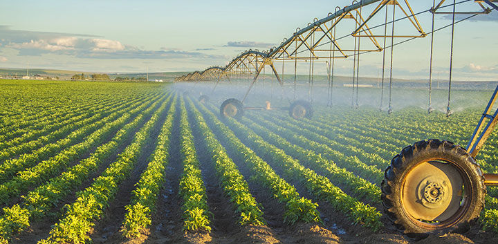 Forests Converting to Cropland Affect Climate