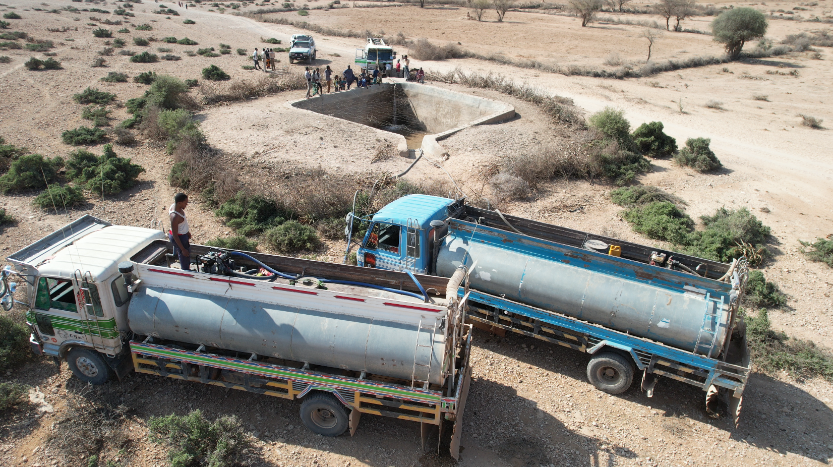 local intervention of the drought repercussions in Somaliland