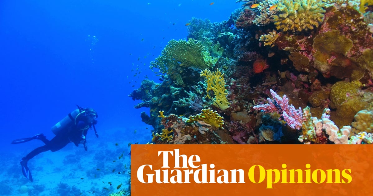 The biggest gold rush in history is about to start in the deep sea &ndash; leaving devastation in its wake | Guy Standing