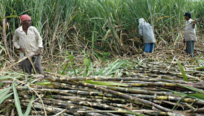 Fast depleting ground water is dangerous to Agriculture of India