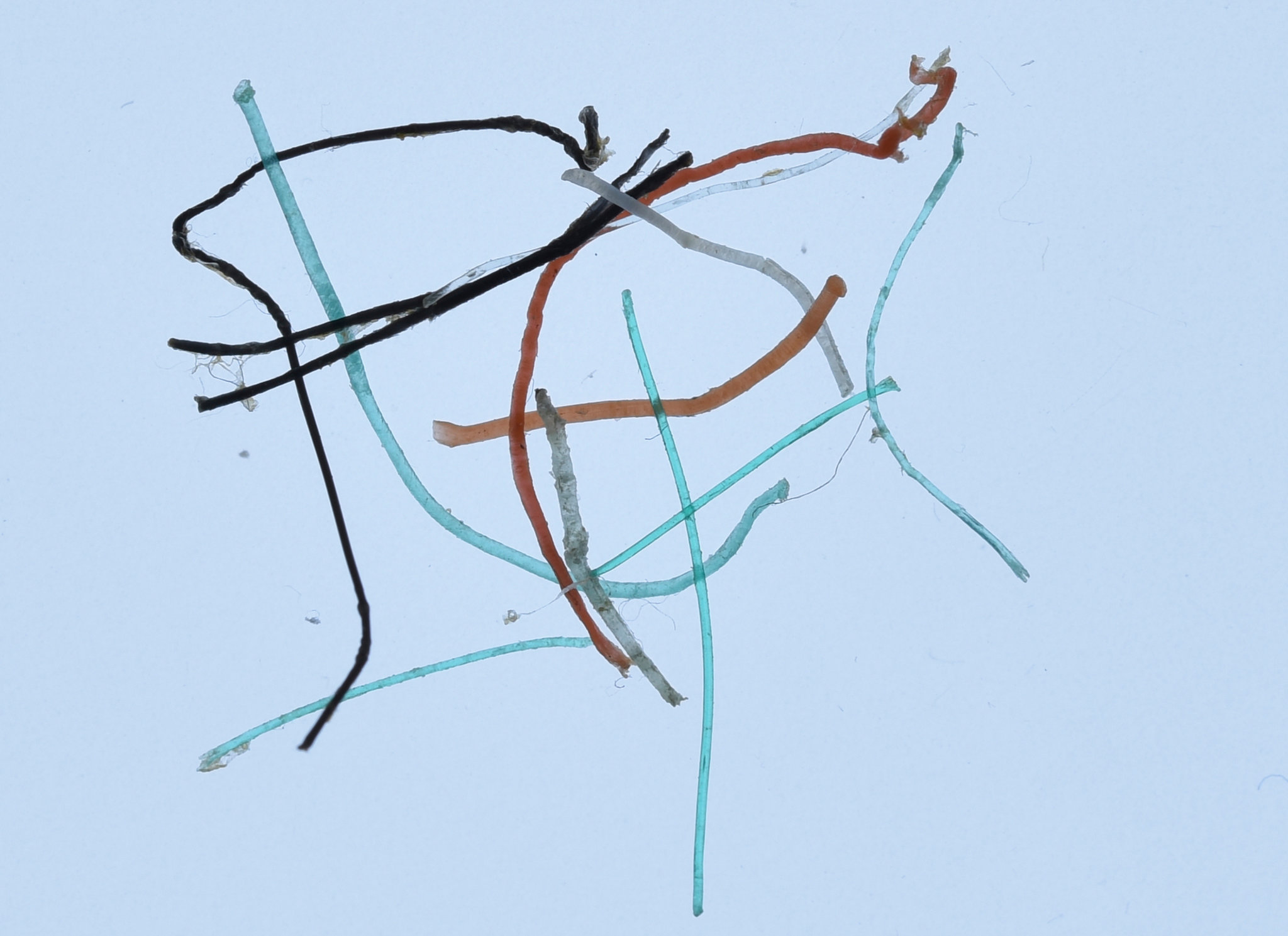 Trillions of Plastic Bits Are Littering Arctic Waters