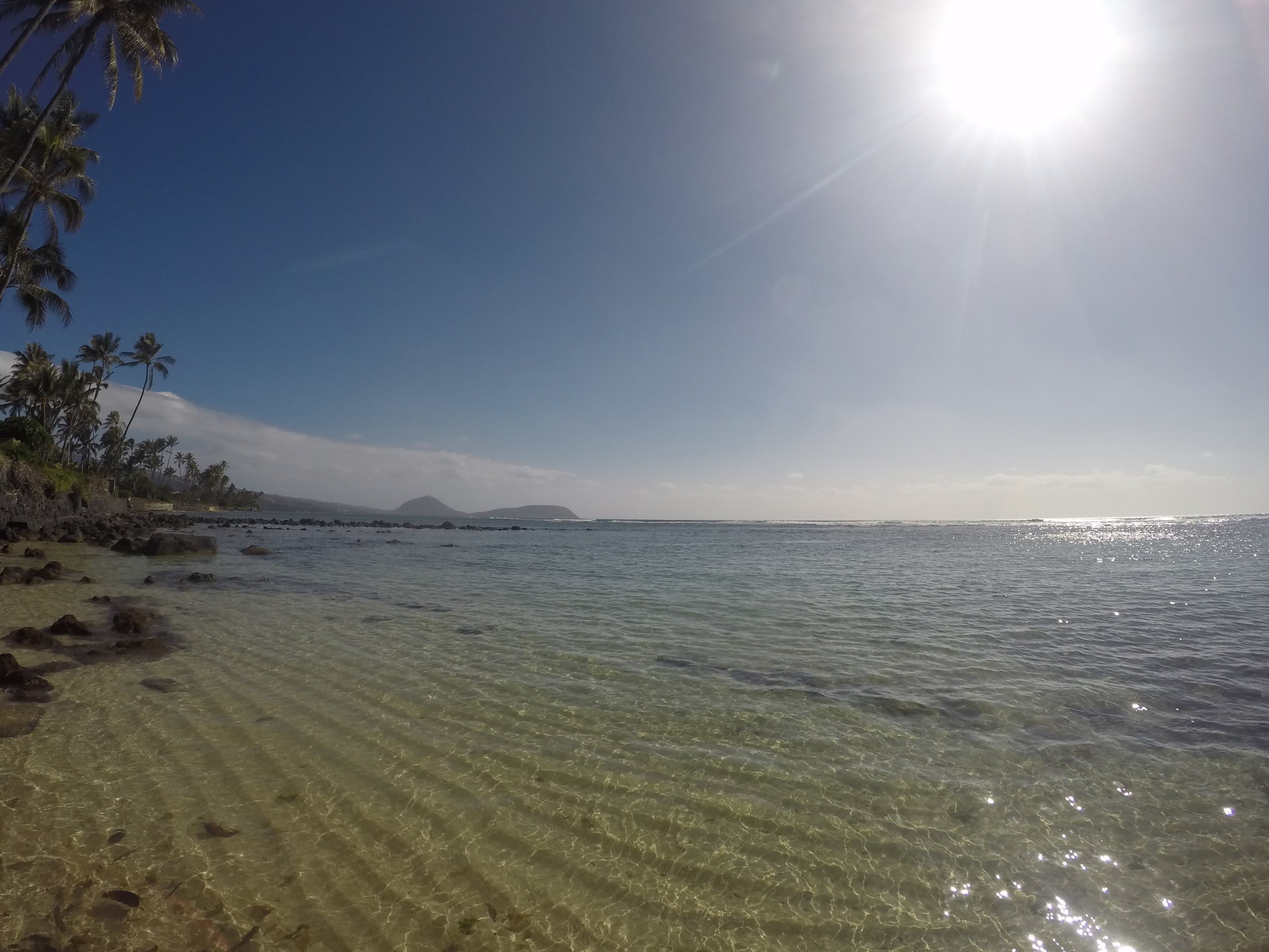 New Research Shows How Submarine Groundwater Affects Coral Reef Growth