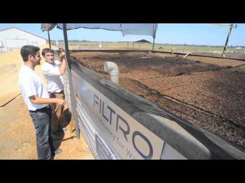 Using worms to purify dairy wastewater at Fresno State