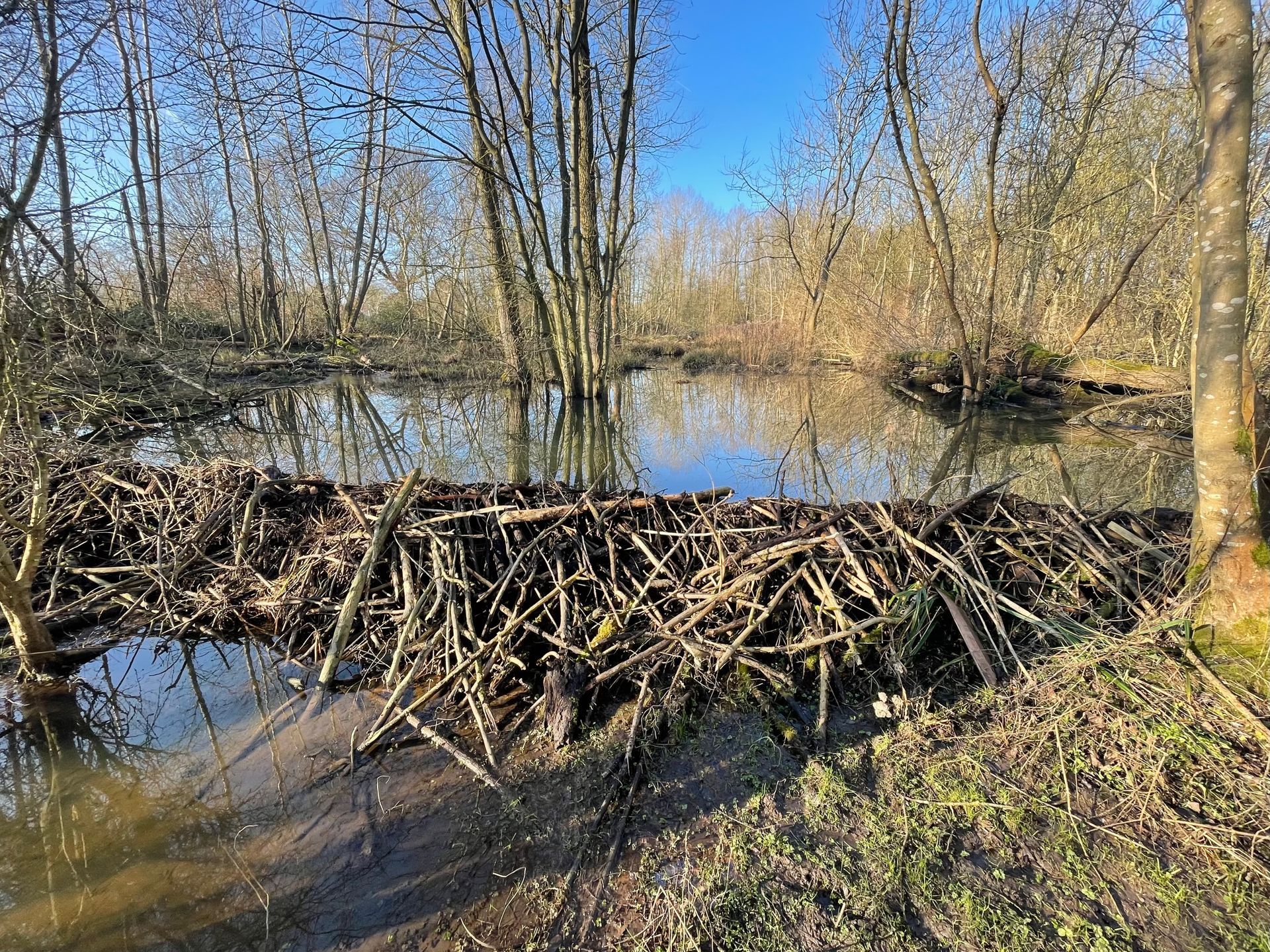 UK Study reveals scale of potential for on-farm winter water storage to ease summer drought and reduce flood risk.&lsquo;Whole farm reservoir&rsquo; app...