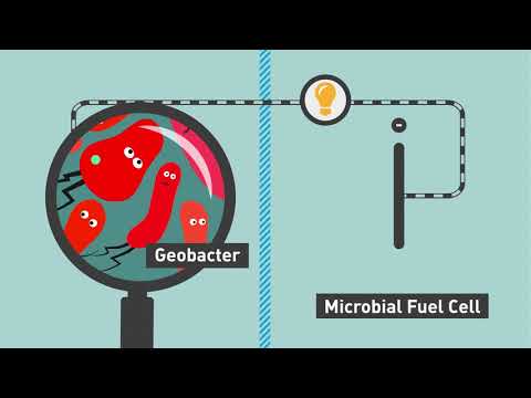 Microbial Desalination Cells (MDC)