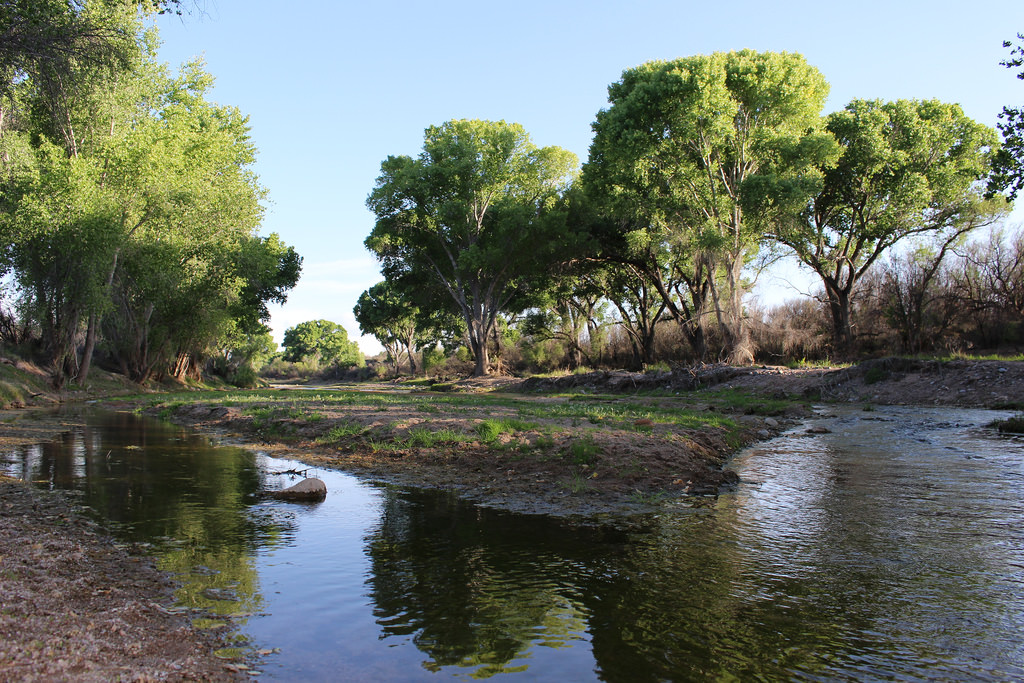 'Citizen scientists' Will Help Map Surface Water in San Pedro River