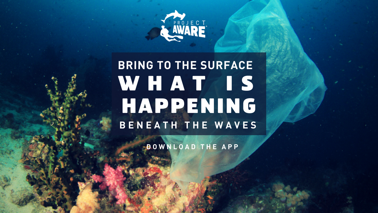 Use Your Phone to Take Action for a Clean Ocean | Project AWARE