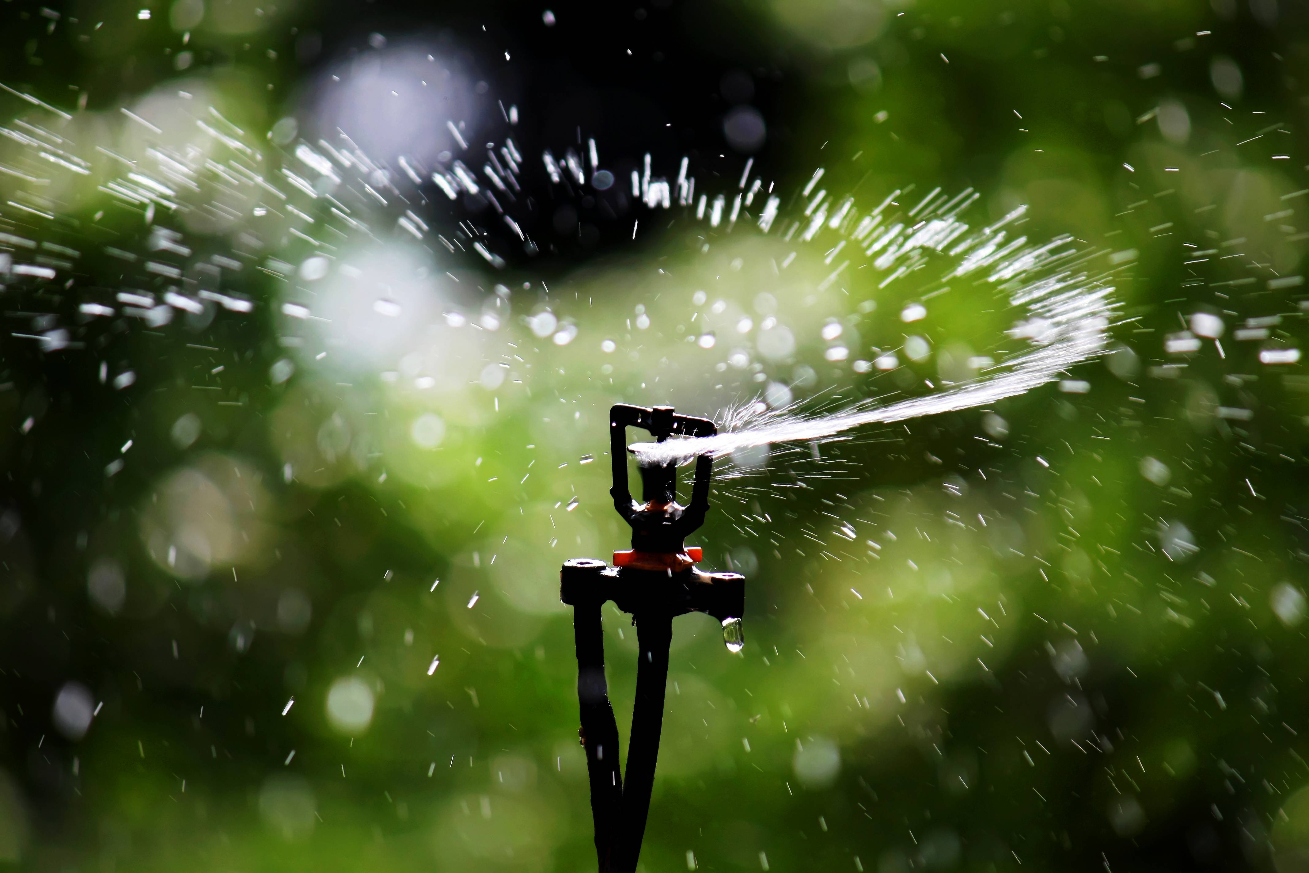 Irrigation - The Biggest User of Water in New Zealand