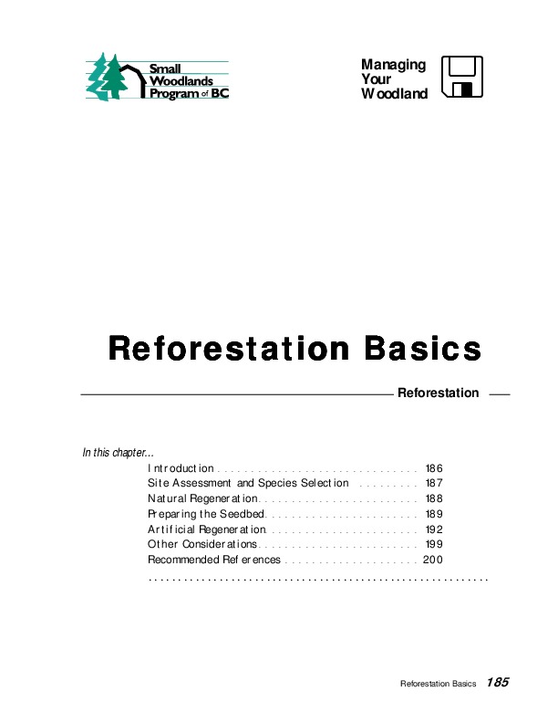 Reforestation Basics