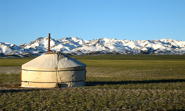 UA Tree-Ring Research Helps Analyze Droughts in Mongolia