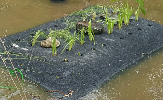 Floating Wetlands to Clean Water Bodies in Indonesia