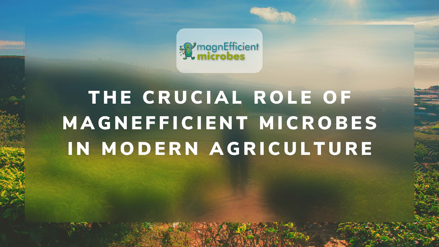 #MicrobialAgriculture #SustainableFarming #AdvancedMicrobiology #AgronomicInnovation #SoilHealth #BiologicalPestControl #ClimateResilience #Nutr...