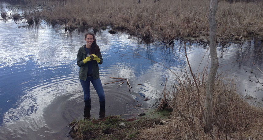 Fighting Big Farm Pollution with a Tiny Plant