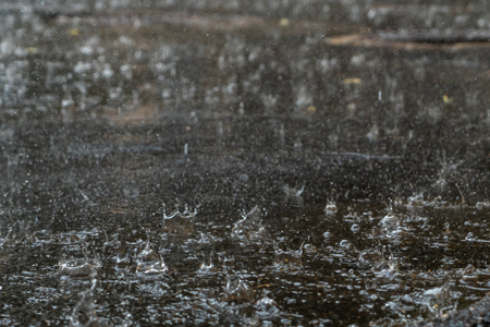 How Capturing Rain Can Contribute To Environmental Safety