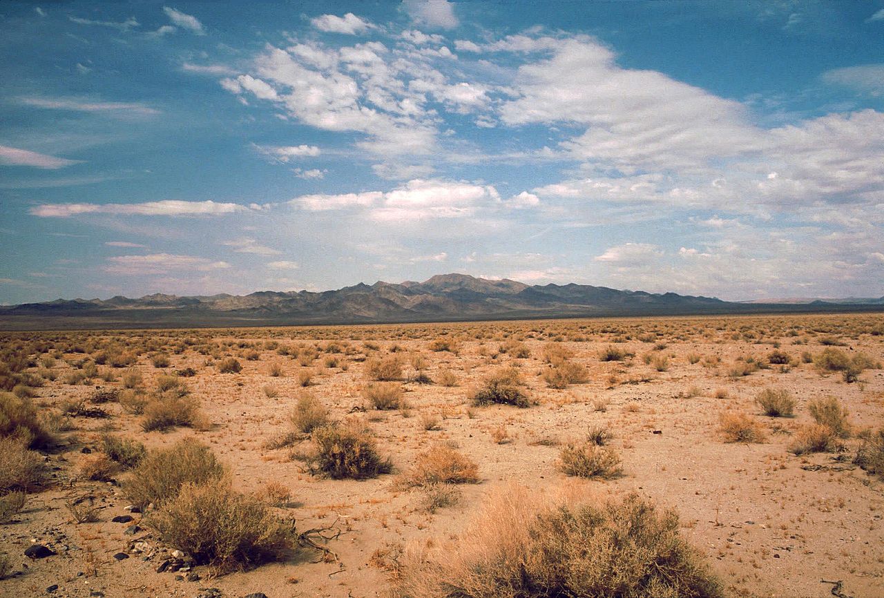 Aquifers Underneath Deserts as Carbon Sinks