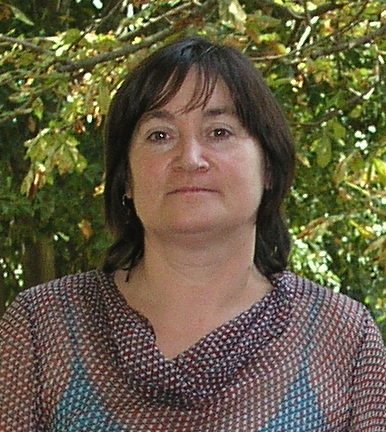 Maria de Fátima Nunes de Carvalho, Professor - Professor