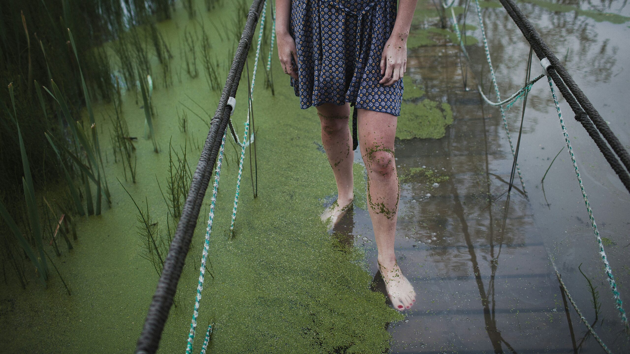 When Harmful Algal Blooms Result in Public Health Disasters