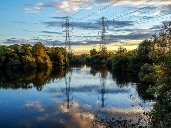 Celebrating the benefits of wetlands on World Wetlands Day | Green World