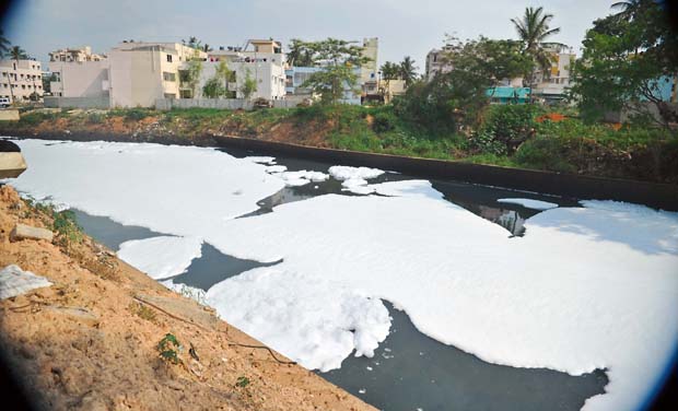 Solution to Clean Polluted Lake