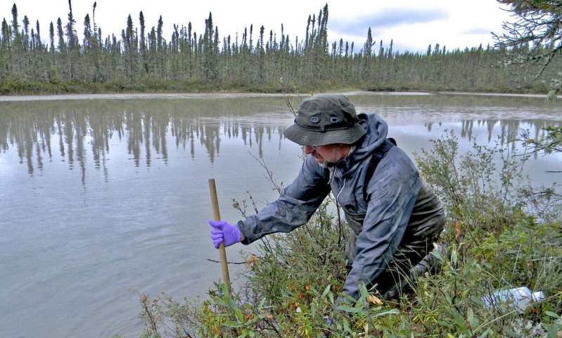 Sample type is critical in environmental DNA studies for biomonitoring