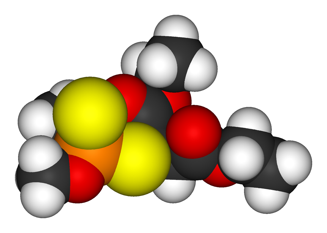 Are You Testing for the Right Chemical Form? – Taylor Industrial – Medium